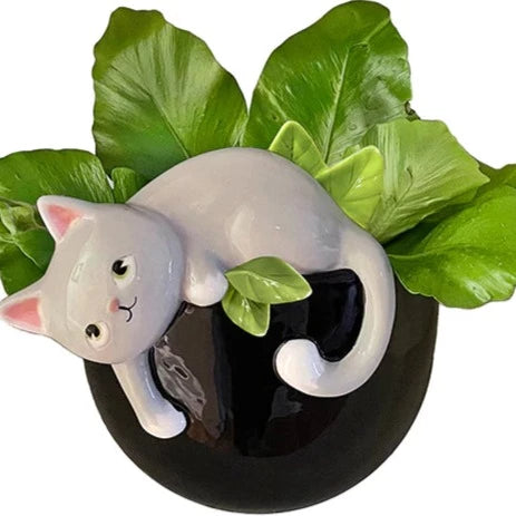 Playful Kitty Planter