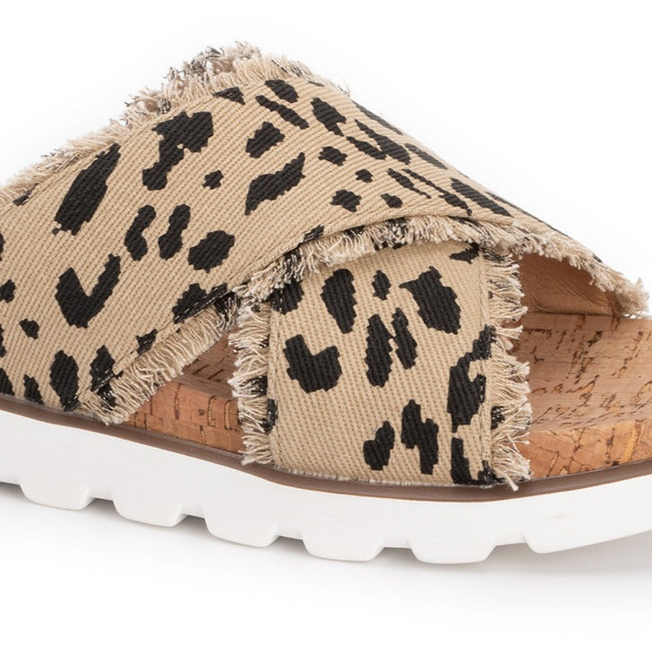 Corkys Dog Days - Leopard
