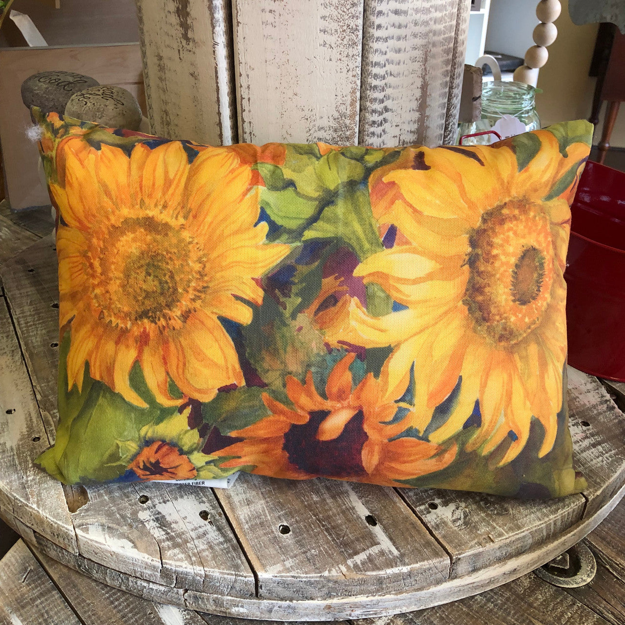 Sunny Faces Pillow