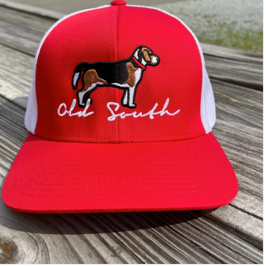 Beagle Red / White